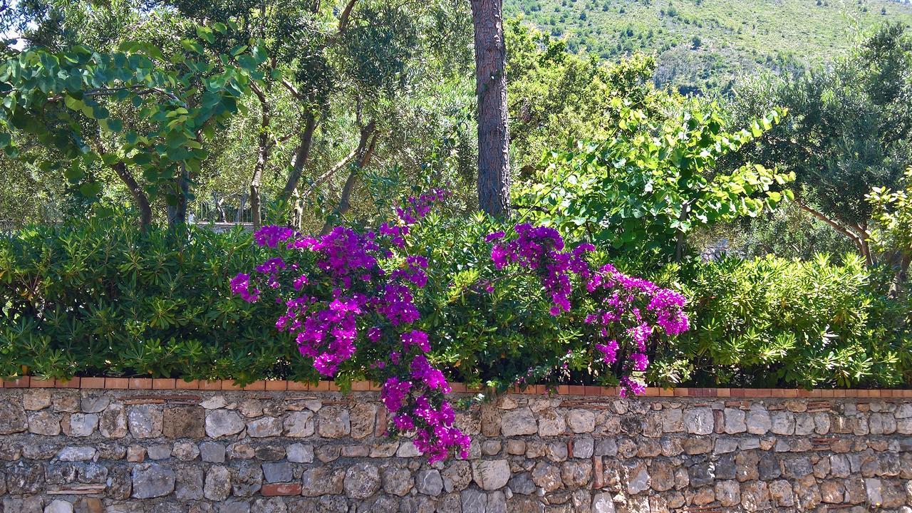 Hotel Cala Del Citro ماراتييا المظهر الخارجي الصورة